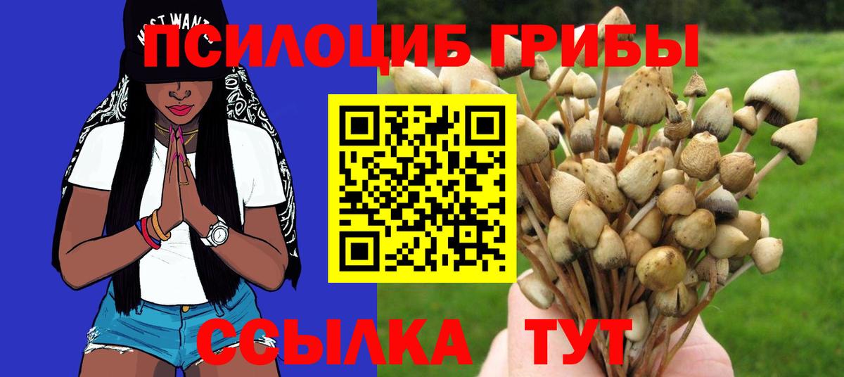 Псилоцибиновые грибы мицелий Жигулёвск