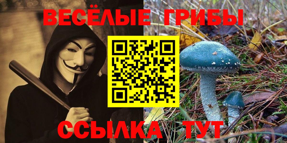 Галлюциногенные грибы GOLDEN TEACHER  Вход с VPN  Жигулёвск  Галлюциногенные грибы мухоморы 